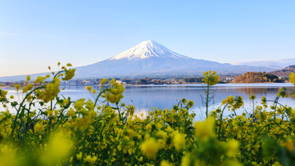 Fototapeta premium Mount fuji at Lake kawaguchiko.