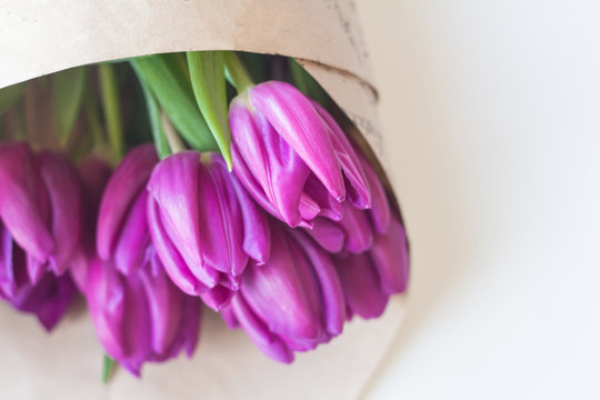 close up picture of fresh pink and purple tulips on table 