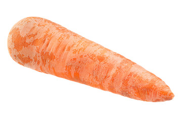 Ripe carrot on white background