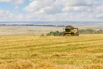 Combine harvester working on a field on sunny summer day with blue sky. Agriculture