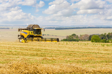 Fototapeta premium Combine harvester working on a field on sunny summer day with blue sky. Agriculture