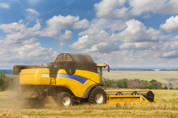 Obraz premium Combine harvester working on a field on sunny summer day with blue sky. Agriculture