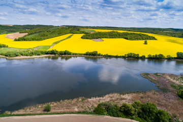 Obraz premium Pole rzepaku z jeziorem