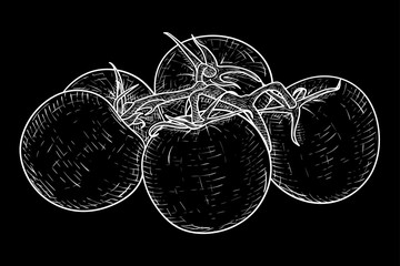 Tomatoes. Hand drawn sketch on black background