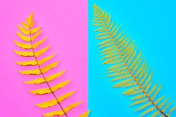 Autumn Arrives. Fall Leaves Background. Fall Fashion Design. Art Gallery. Minimal. Yellow Fern...