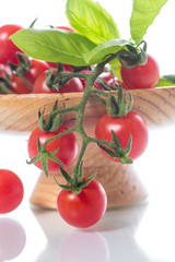 fresh organic cherry tomatoes