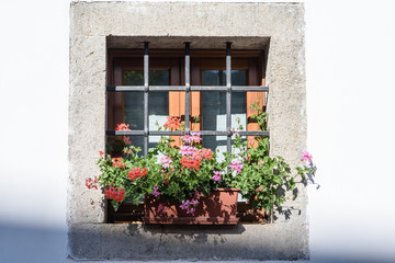 Flowers and flowering balconies in the mountains. Sauris.