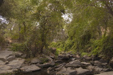 Obraz premium Landscape of the Tiétar Valley, Ávila