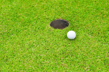 Golf ball on the lawn