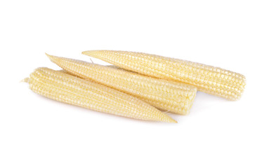 raw baby corn isolated on white background