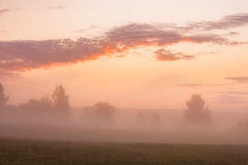Foggy grassland at sunrise
