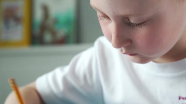 An inquisitive and diligent boy does homework and math. Pupil is healed by mental arithmetic, using special scores. Close-up: children's hands write with a pencil and use accounts of Abakus (Soroban).