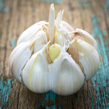 garlic.image