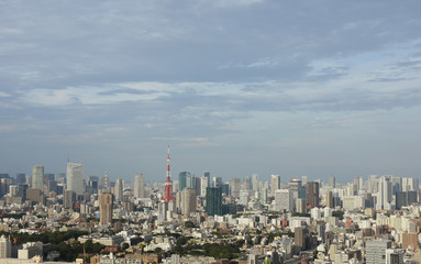 Fototapeta na wymiar 日本の東京都市風景「港区などの高層ビル群を望む」