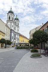 Fototapeta na wymiar Cistercian church in Szekesfehervar, Hungary