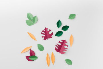 composition of various colorful leaves