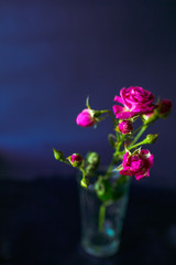 The pink flowers stands in the vase