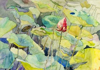 Fototapety  Malowanie kolorowego kwiatu lotosu piękno sezonu letniego