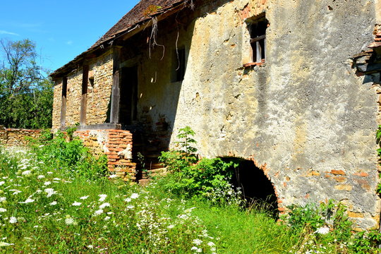 Ruins. Fortified medieval saxon evangelic church in the village Rodbav, Rohrbach, Transylvania, Romania. The settlement was founded by the Saxon colonists 