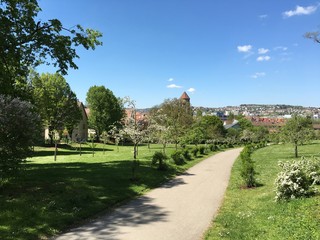 Weg im Park