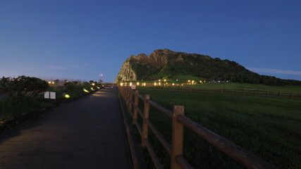 Obraz premium OLYMPUS DIGITAL CAMERA