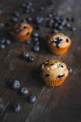 delicious cupcakes with blueberries