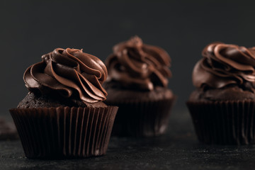 tasty chocolate cupcakes