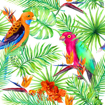 Jungle forest: tropical leaves, parrot birds, exotic flowers. Seamless pattern. Watercolor