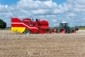 Obraz premium Tractor with potato harvester in the field - 0039