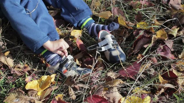 Dress up sneakers on yellow leaves/The boy sat on autumn leaves and was wearing sneakers