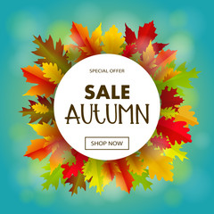 Sales banner with multicolor autumn leaves. Vector