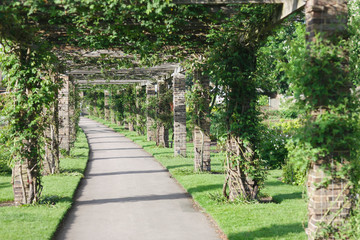 Fototapeta na wymiar Path in a botanical garden with special pillars and beams for climbing plants