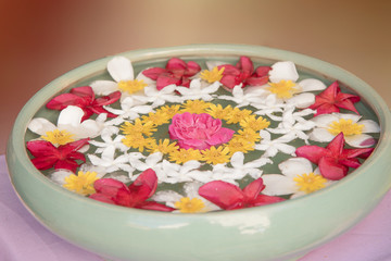 Plumeria flowers are refreshing