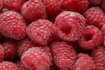 Fresh and sweet raspberries background. Selective focus