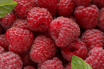Fresh and sweet raspberries background. Selective focus