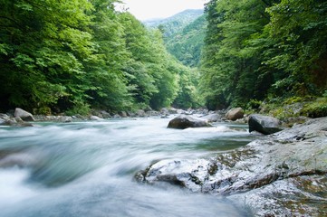 長野県阿寺渓谷を流れる綺麗な水の流れ