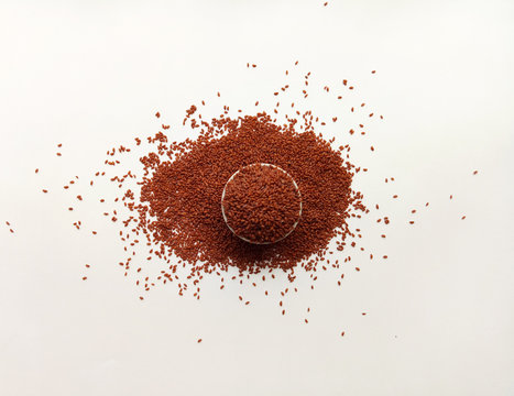 Garden Cress Seeds