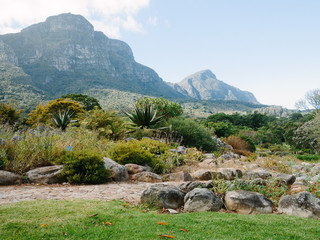 Kirstenbosch