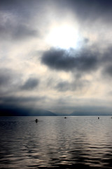 Obraz premium Blue lake of annecy with a parade of couple of grebes and mountains on winter morning