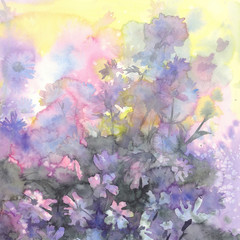 august meadow flowers watercolor background