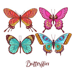 Obraz na płótnie Canvas set of colorful butterflies