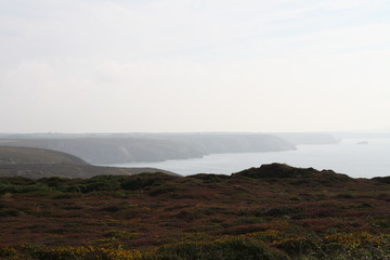 Fototapeta na wymiar cliffs of Cornwall