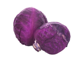 Purple cabbage on white background