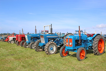 Vintage tractors
