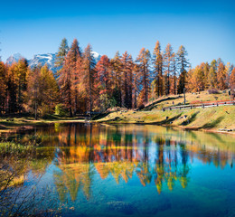 Fantastic colors view of Scin lake with yellow pine trees.
