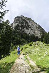 Fototapeta premium View of mountain trail for hiking, hiker, spring green grass and pine forest, landscape, Swiss Alps.