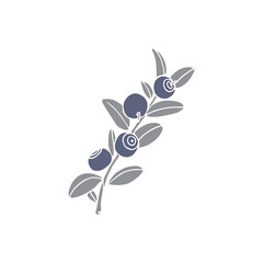 Hand drawn blueberry twig