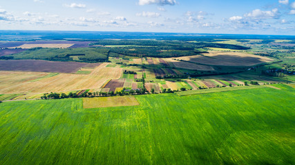 Fototapeta premium Aerial view of the vegetable field from drone