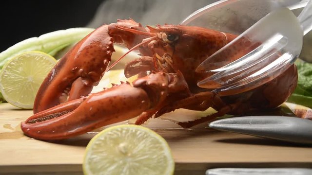 Homarus Homard Astice Hummer Kevjalk Lavagante Video Lobsters Astici ロブスター Lobster Bogavante