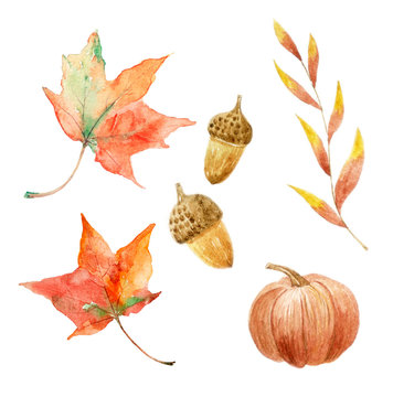 Autumn set. Watercolor illustration
